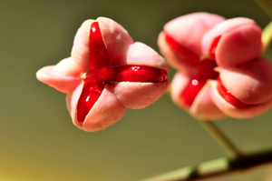 鲜花花束包装纸(花束包装纸花店有卖吗？)